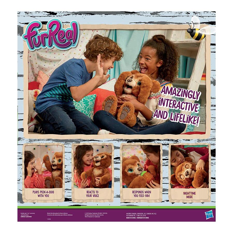 cubby the curious bear canada
