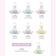 Miffy Turtle Series Blind Box (One Figure)