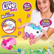 Little Live Pets Lil? Hamster Single Pack - (Sprinkz)