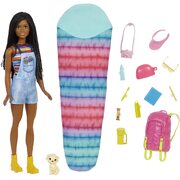 Barbie It Takes Two Camping Brooklyn Doll with Puppy