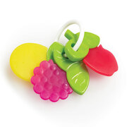 Early Learning Centre Blossom Farm Fruit Keys