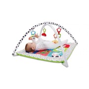 Early Learning Centre Blossom Farm Activity Gym Playmat & Arch