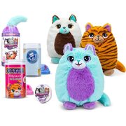 Misfittens Cats Surprise  