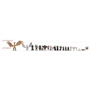 Schleich Advent Calendar Harry Potter 99175