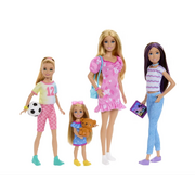 Barbie Sister Doll Playset HWJ01
