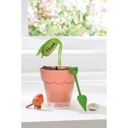 My Fairy Garden Magic Bean Pot (Hope)