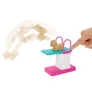 Barbie Swim N Dive Doll Play Set