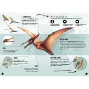 Sassi Science The Age of the Dinosaurs 3D Pteranodon And Book Set