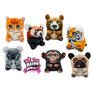 Wild Alive 12 inch Plush [Character : Orange Cat]