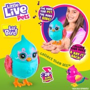 Little Live Pets Lil' Bird Fashion Wings Surfy Chirps