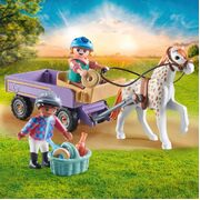 Playmobil Horses of Waterfall Pony carriage 33pc 71496