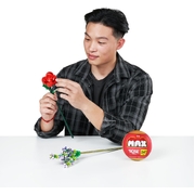 ZURU MAX Premium Rose Building Bricks Collection