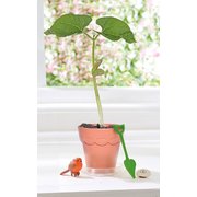 My Fairy Garden Magic Bean Pot (Hope)