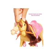 Barbie Hugs 'N' Horses Doll Playset with Chelsea 