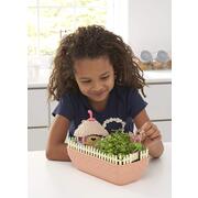 My Fairy Garden Fairy Kitchen Garden