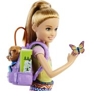 Barbie Stacie Doll & Pet Camping HDF70