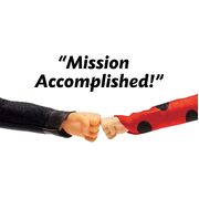 Miraculous Mission Accomplished Ladybug and Cat Noir Doll Playset