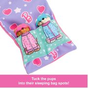 Barbie Doll & Puppy Slumber Party Playset HXN01