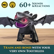 How to Train Your Dragon Tame & Train Interactive Toothless Figure