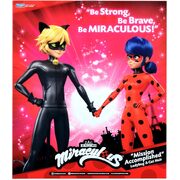 Miraculous Mission Accomplished Ladybug and Cat Noir Doll Playset