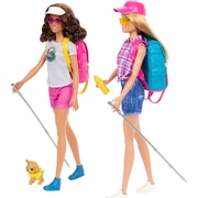 Barbie Dolls and Camping Accessories Playset HYT66