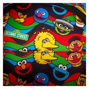 Loungefly Sesame Street Cookie Monster Plush Cosplay Mini Backpack With Coin Bag