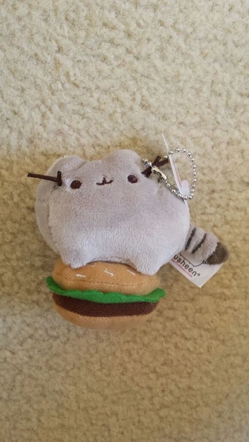 pusheen snack time