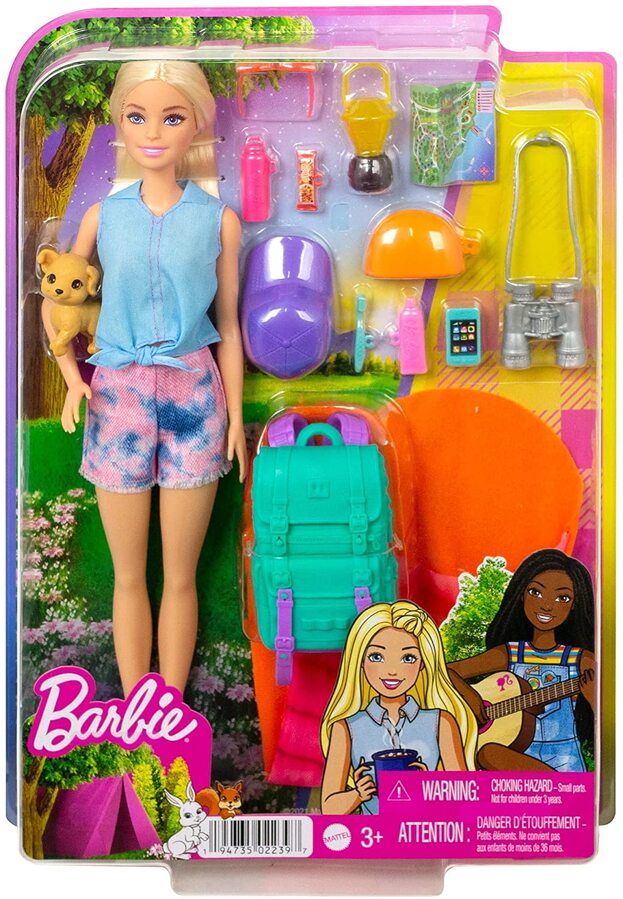 Barbie Malibu Doll with Two Fairytale Pets from Barbie A Touch of Magic