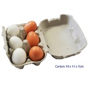 Fun Factory Wooden Pretend Toys Food  Egg Carton 6 Eggs