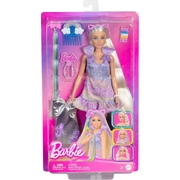 Barbie Fun & Fancy Doll JCT72