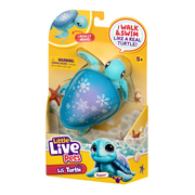 Little Live Pets Turtle - Aspen
