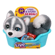 Little Live Pets My Really Real Mini Puppy Aurora