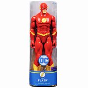 Spin Master Dc Heroes Unite 12-Inch Action Figure - Choose from 3