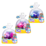 Little Live Pets Lil' Dippers Fish Single Pack - choose from 3
