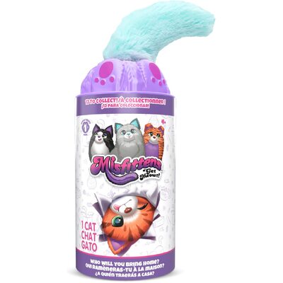 Misfittens Cats Surprise  