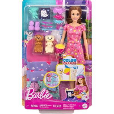 Barbie Doll & Puppy Slumber Party Playset HXN01
