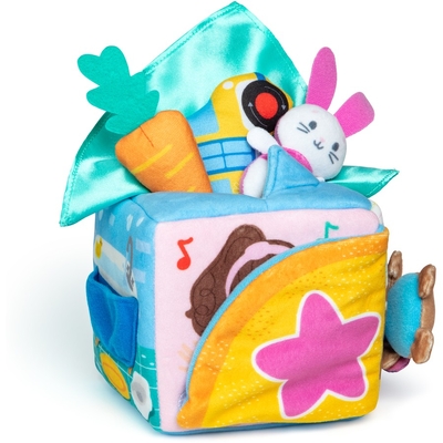 Ms Rachel Surprise Learning Box