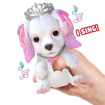 Little Live OMG Pets Have Talent Single Pack Season 3 [Pack: Pink Poodle]