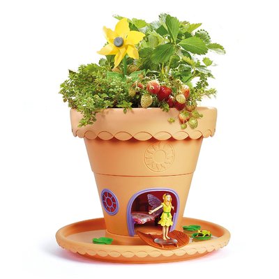 My Fairy Garden Lilypad Gardens